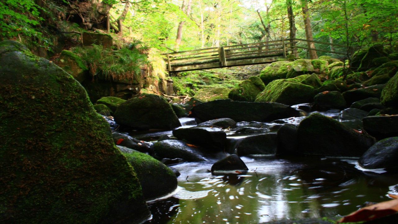 Fwd: David Maycock, Padley Gorge			
					</div><!-- .entry-content -->
		
		<footer>
		
		
		
					
					</footer><!-- .entry-meta -->
	</article><!-- #post -->
				
											
				
		
<hr class=