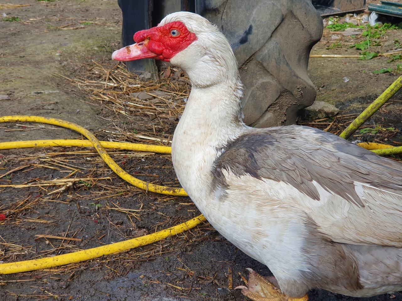 Fwd:			
					</div><!-- .entry-content -->
		
		<footer>
		
		
		
					
					</footer><!-- .entry-meta -->
	</article><!-- #post -->
				
											
				
		
<hr class=