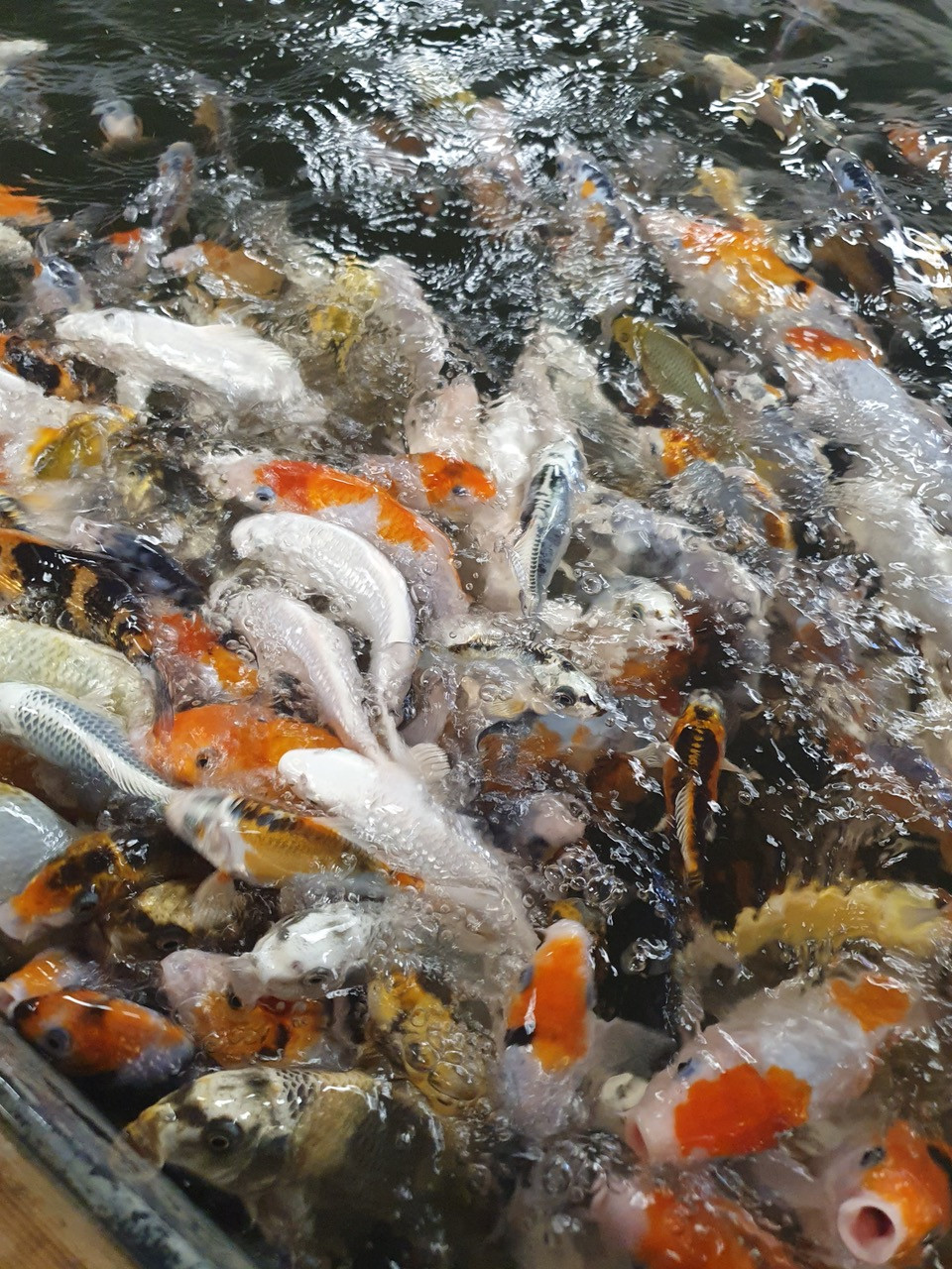 Fwd:			
					</div><!-- .entry-content -->
		
		<footer>
		
		
		
					
					</footer><!-- .entry-meta -->
	</article><!-- #post -->
				
											
				
		
<hr class=