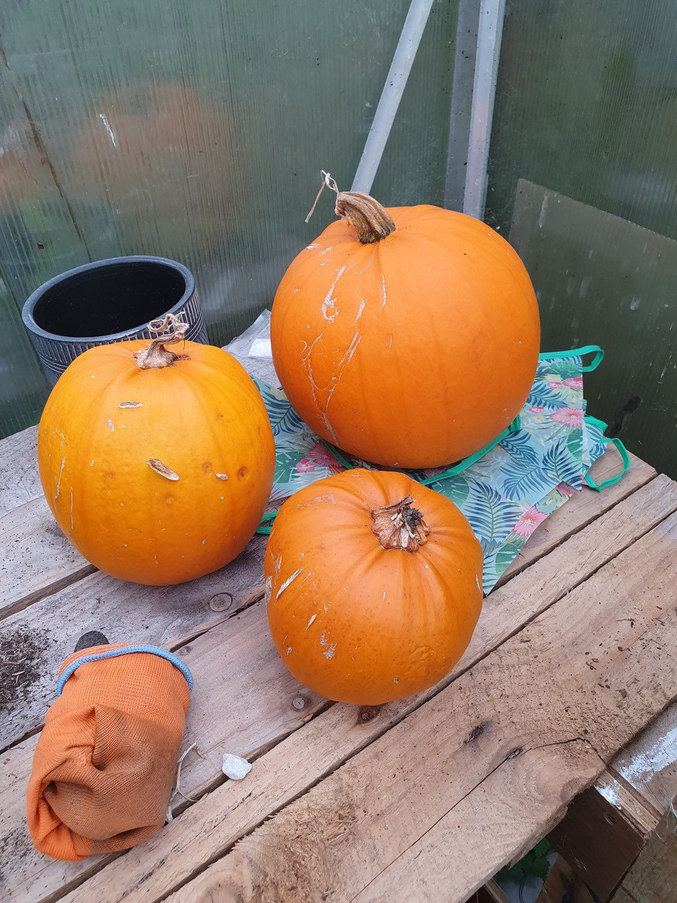 Fwd:			
					</div><!-- .entry-content -->
		
		<footer>
		
		
		
					
					</footer><!-- .entry-meta -->
	</article><!-- #post -->
				
											
				
		
<hr class=