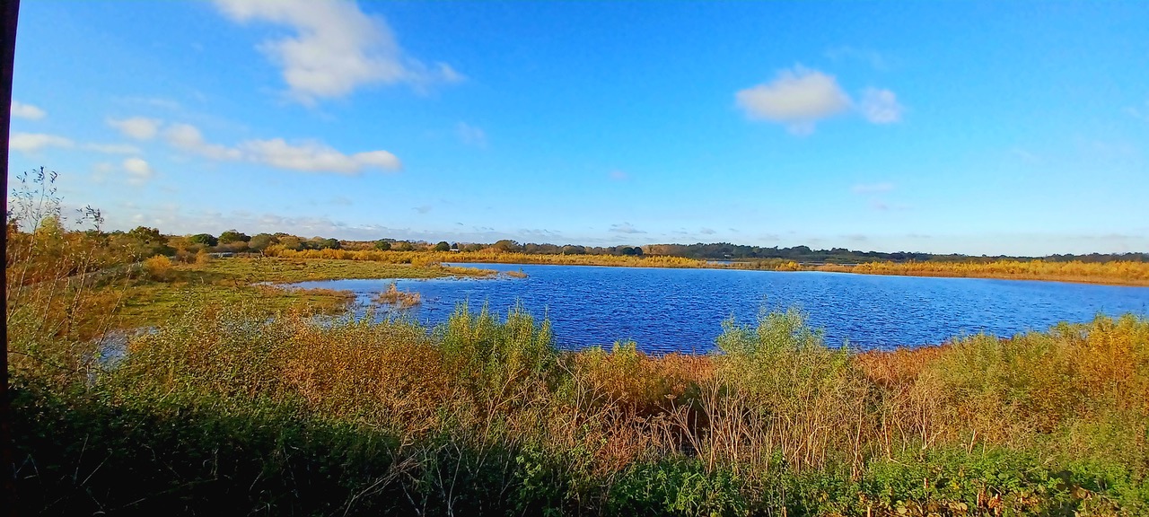 Fwd: By Markius Maximus- Idle Valley nature reserve.			
					</div><!-- .entry-content -->
		
		<footer>
		
		
		
					
					</footer><!-- .entry-meta -->
	</article><!-- #post -->
				
											
				
		
<hr class=