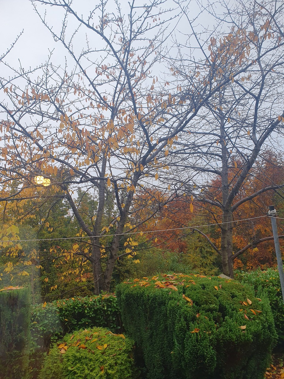 Fwd:			
					</div><!-- .entry-content -->
		
		<footer>
		
		
		
					
					</footer><!-- .entry-meta -->
	</article><!-- #post -->
				
											
				
		
<hr class=