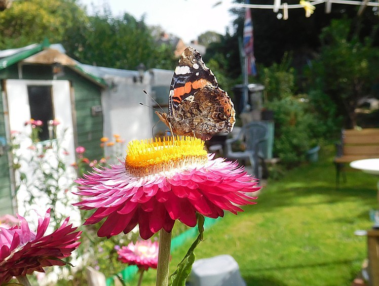 Fwd: Photos for Calendar televison programme			
					</div><!-- .entry-content -->
		
		<footer>
		
		
		
					
					</footer><!-- .entry-meta -->
	</article><!-- #post -->
				
											
				
		
<hr class=