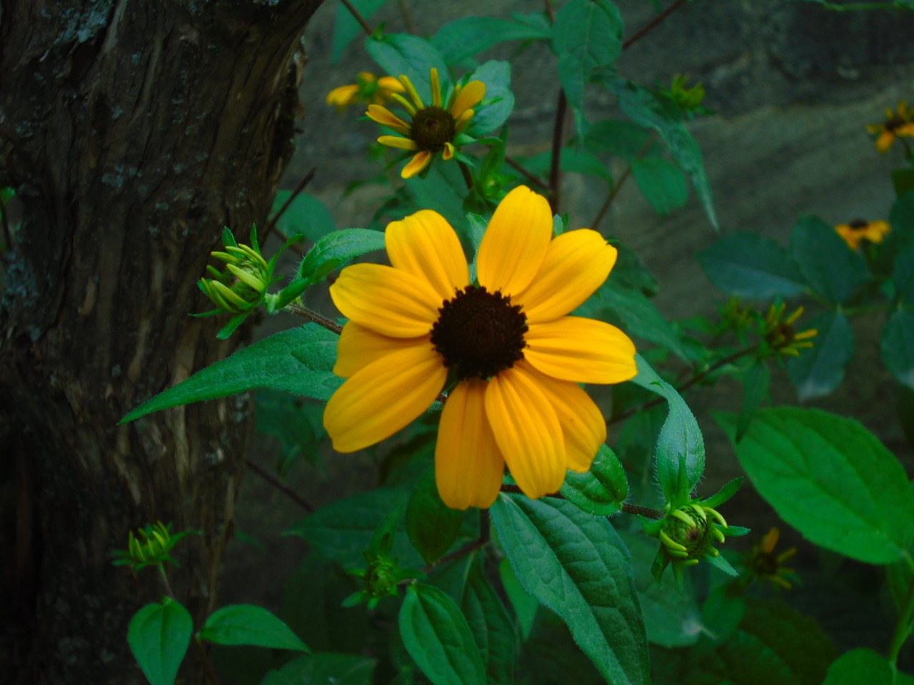 Fwd:			
					</div><!-- .entry-content -->
		
		<footer>
		
		
		
					
					</footer><!-- .entry-meta -->
	</article><!-- #post -->
				
											
				
		
<hr class=