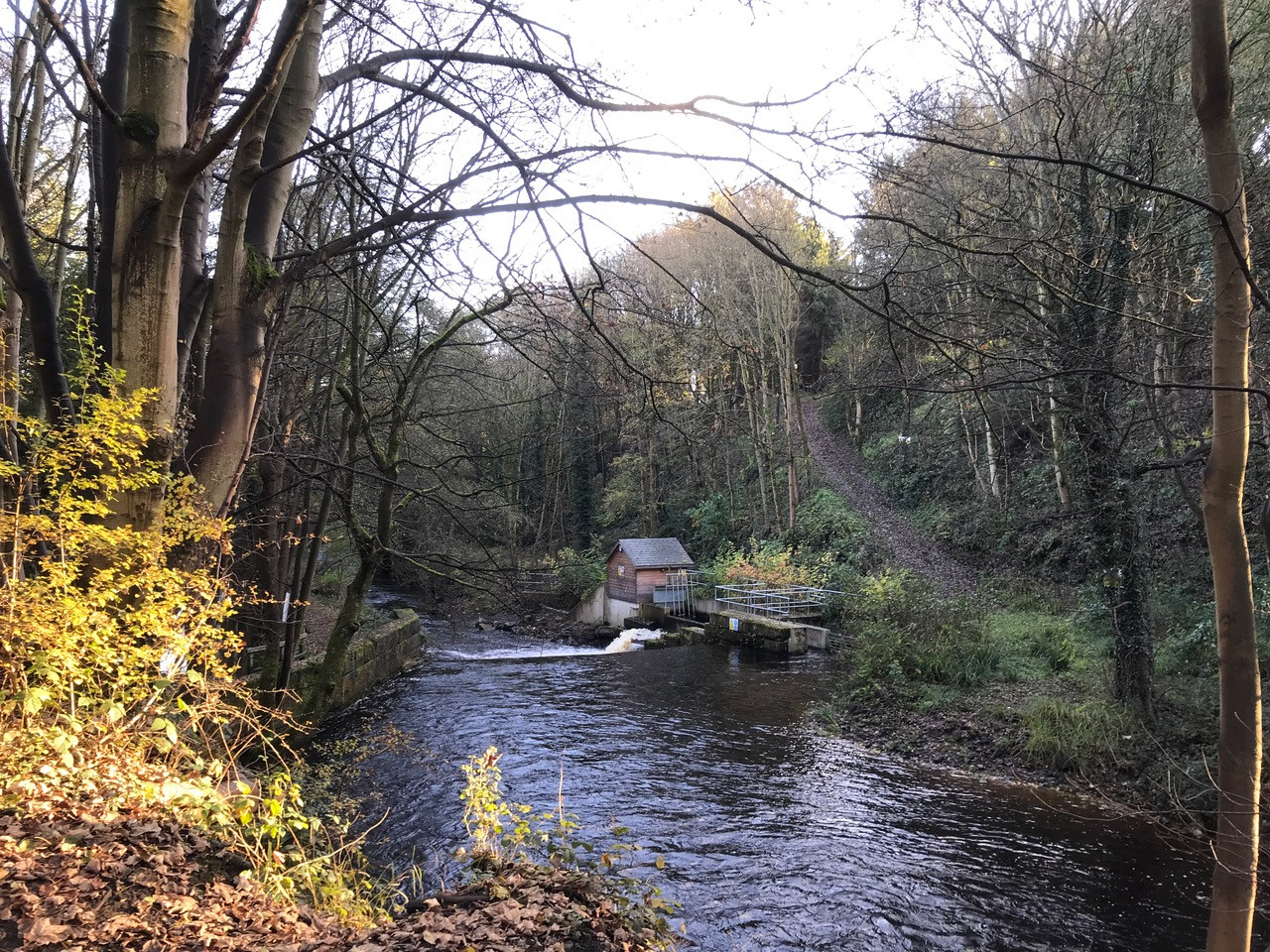 Fwd: Chris – Loxley River Water Turbine			
					</div><!-- .entry-content -->
		
		<footer>
		
		
		
					
					</footer><!-- .entry-meta -->
	</article><!-- #post -->
				
											
				
		
<hr class=