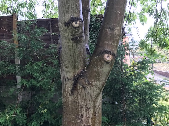 Fwd: Watching me. Woodhouse Road, from Geoff Swindells			
					</div><!-- .entry-content -->
		
		<footer>
		
		
		
					
					</footer><!-- .entry-meta -->
	</article><!-- #post -->
				
											
				
		
<hr class=