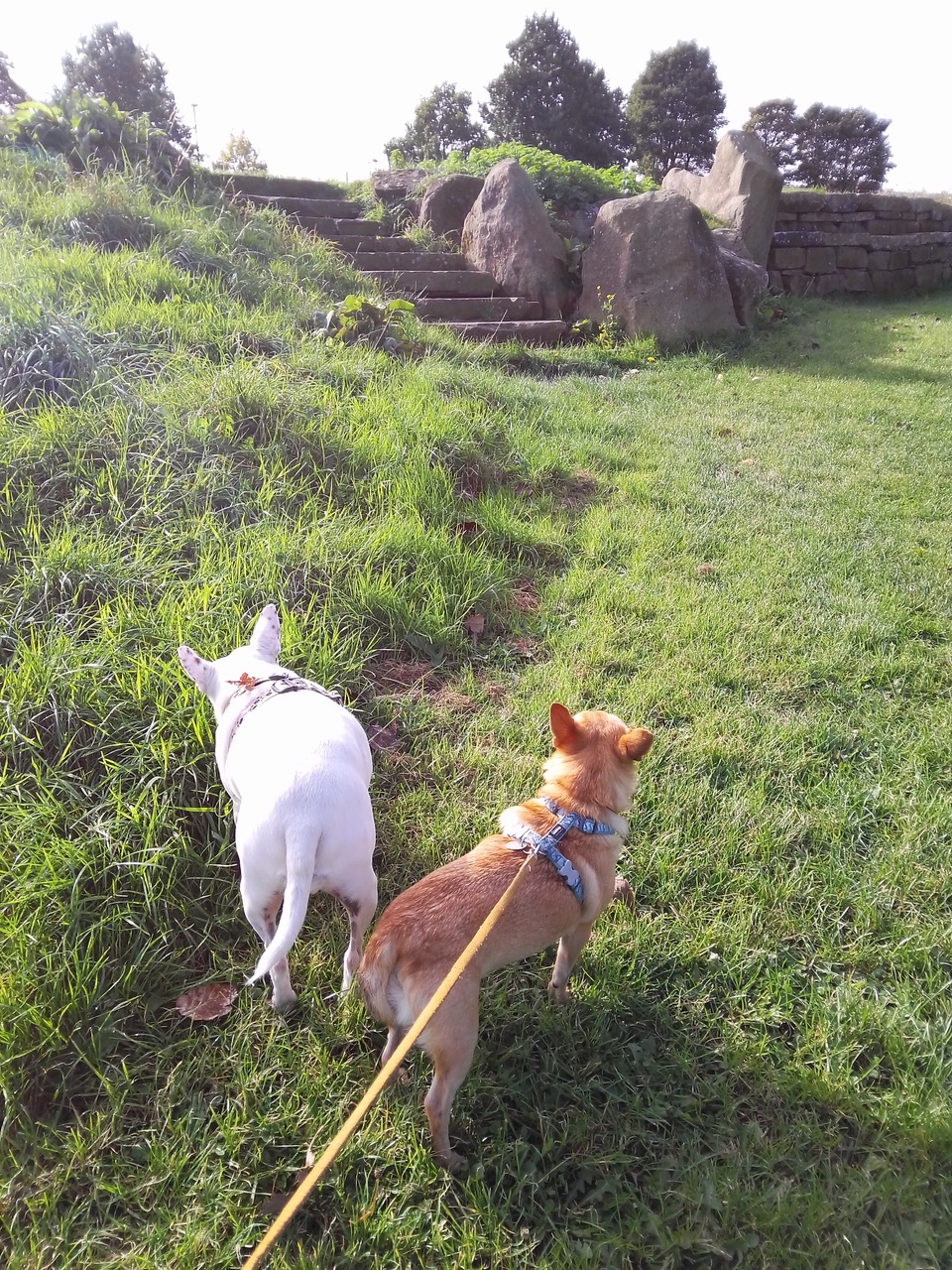 Fwd: Wilma & Eddie at Manor fields Park			
					</div><!-- .entry-content -->
		
		<footer>
		
		
		
					
					</footer><!-- .entry-meta -->
	</article><!-- #post -->
				
											
				
		
<hr class=