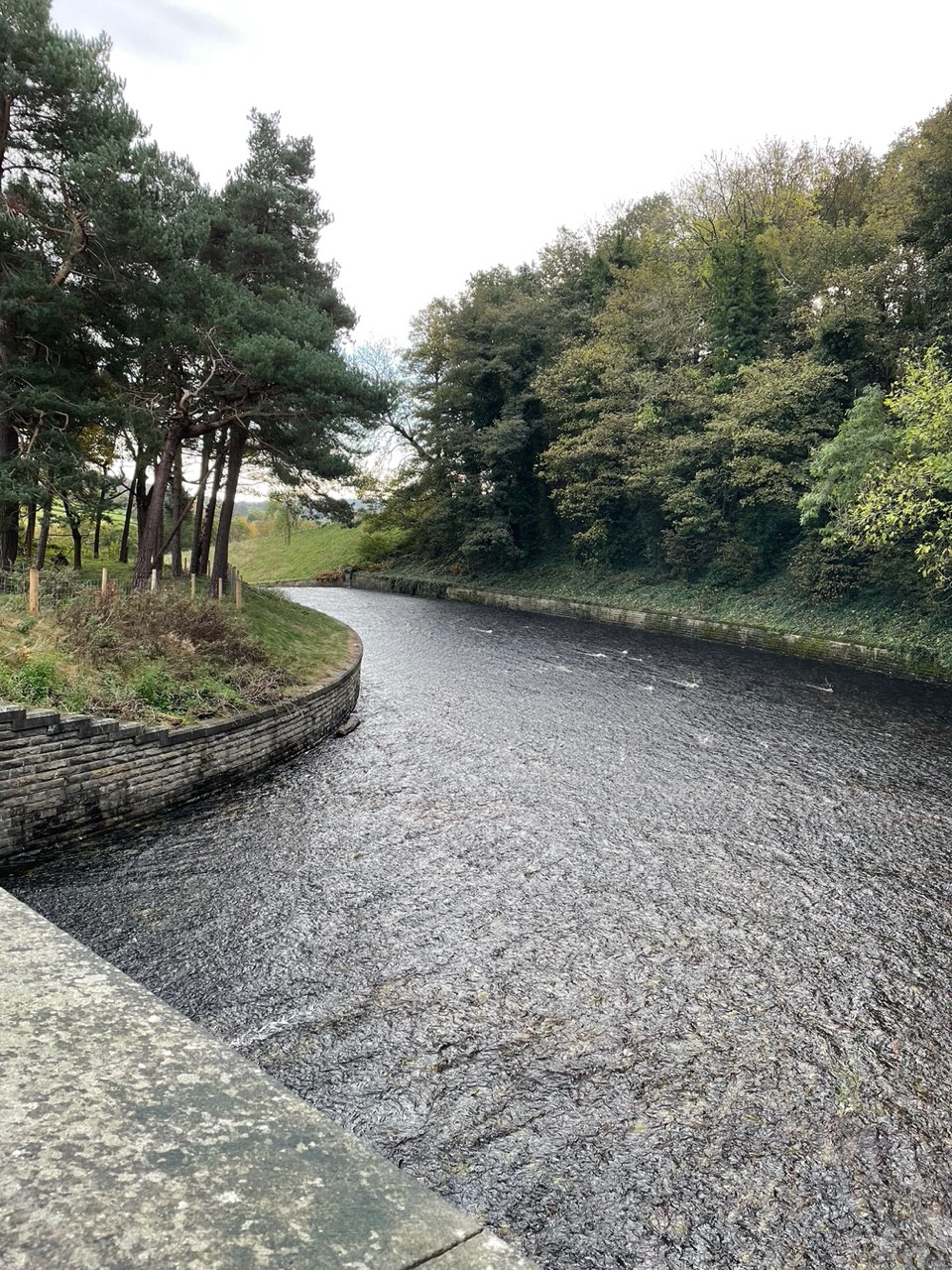 Fwd: Dam Flask overflow- Bradfield			
					</div><!-- .entry-content -->
		
		<footer>
		
		
		
					
					</footer><!-- .entry-meta -->
	</article><!-- #post -->
				
											
				
		
<hr class=