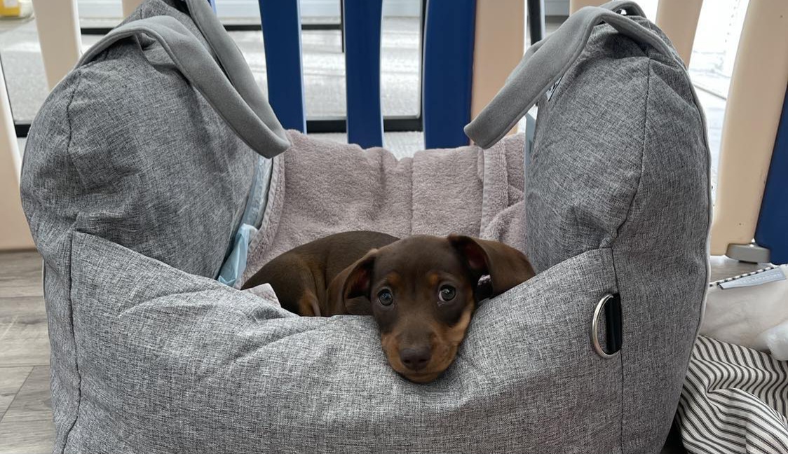 Fwd: Photograph by K Johnson Peach.			
					</div><!-- .entry-content -->
		
		<footer>
		
		
		
					
					</footer><!-- .entry-meta -->
	</article><!-- #post -->
				
											
				
		
<hr class=