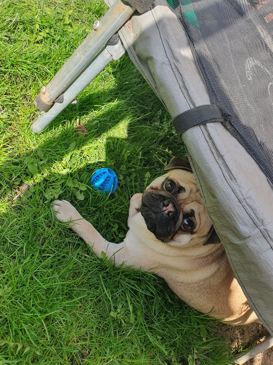 Fwd:			
					</div><!-- .entry-content -->
		
		<footer>
		
		
		
					
					</footer><!-- .entry-meta -->
	</article><!-- #post -->
				
											
				
		
<hr class=