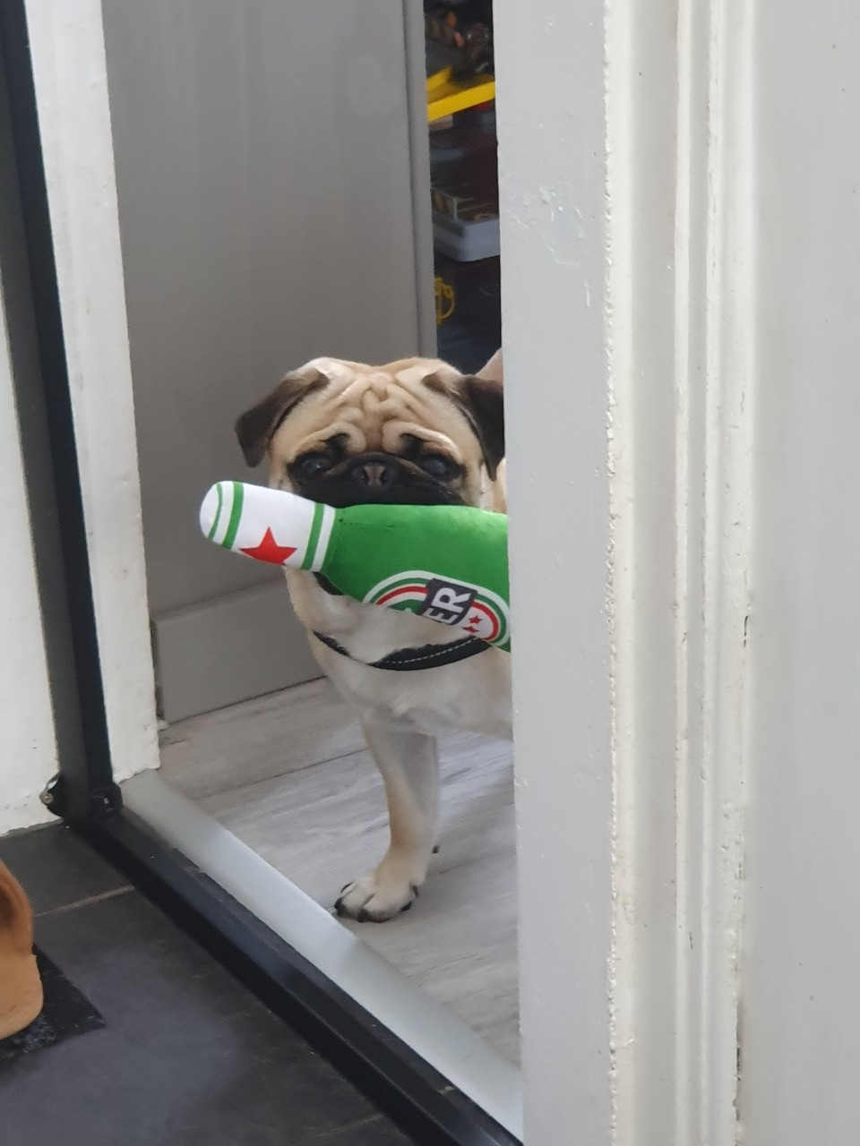 Fwd:			
					</div><!-- .entry-content -->
		
		<footer>
		
		
		
					
					</footer><!-- .entry-meta -->
	</article><!-- #post -->
				
											
				
		
<hr class=