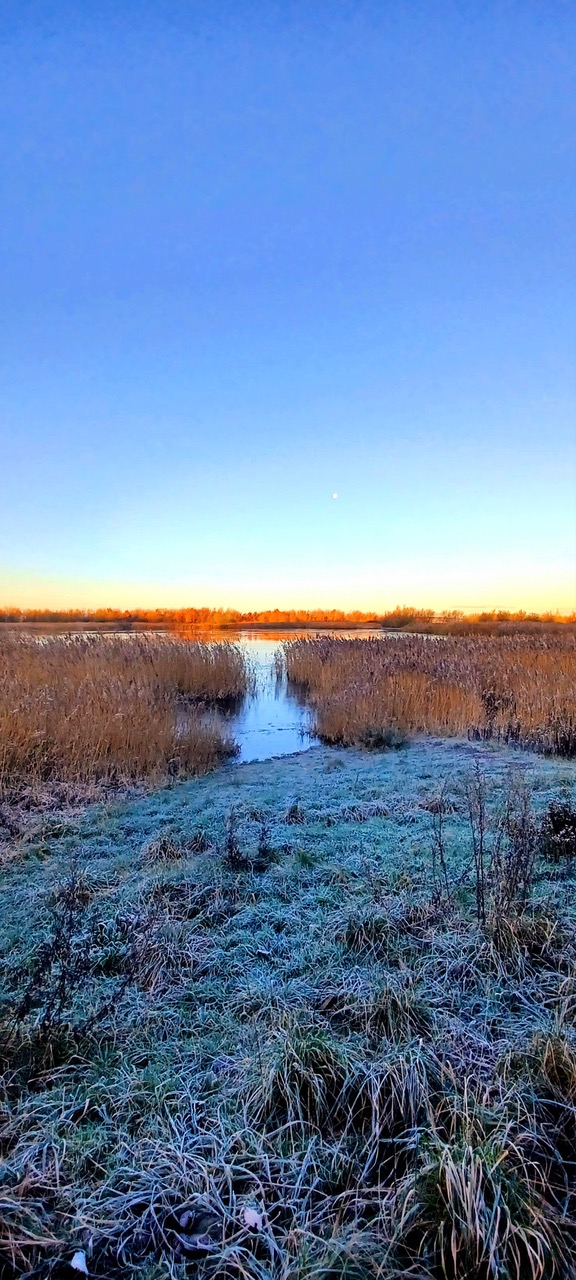 Fwd: By Markius Maximus- Silverwood Lagoon.			
					</div><!-- .entry-content -->
		
		<footer>
		
		
		
					
					</footer><!-- .entry-meta -->
	</article><!-- #post -->
				
											
				
		
<hr class=