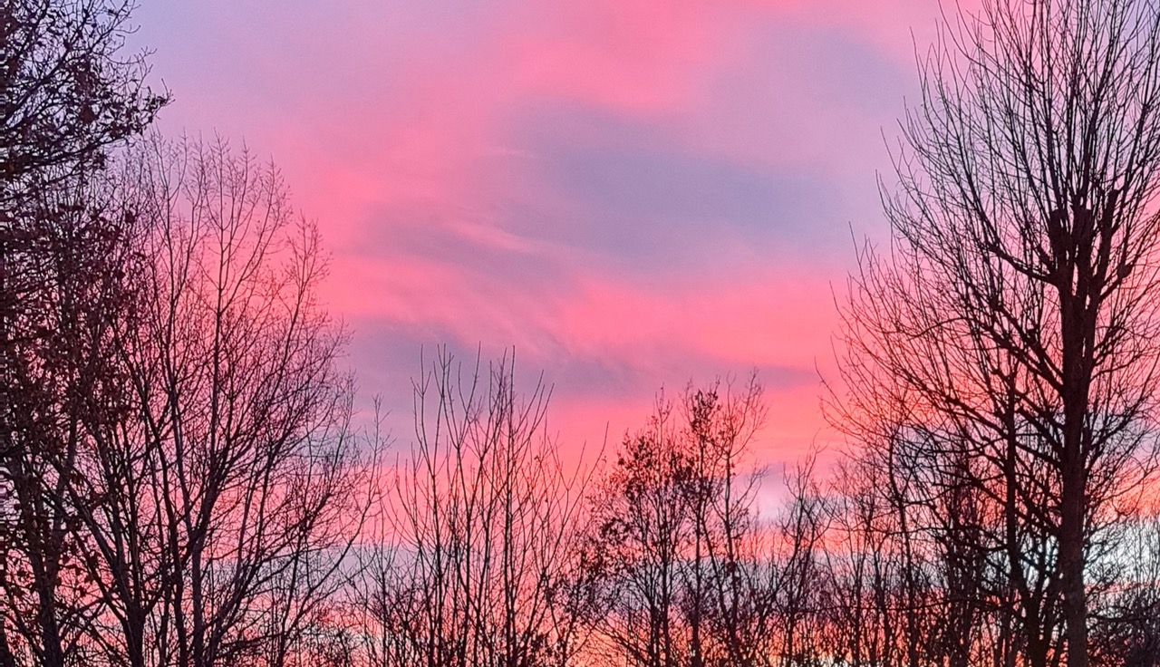 Fwd: Photograph by  K Johnson			
					</div><!-- .entry-content -->
		
		<footer>
		
		
		
					
					</footer><!-- .entry-meta -->
	</article><!-- #post -->
				
											
				
		
<hr class=