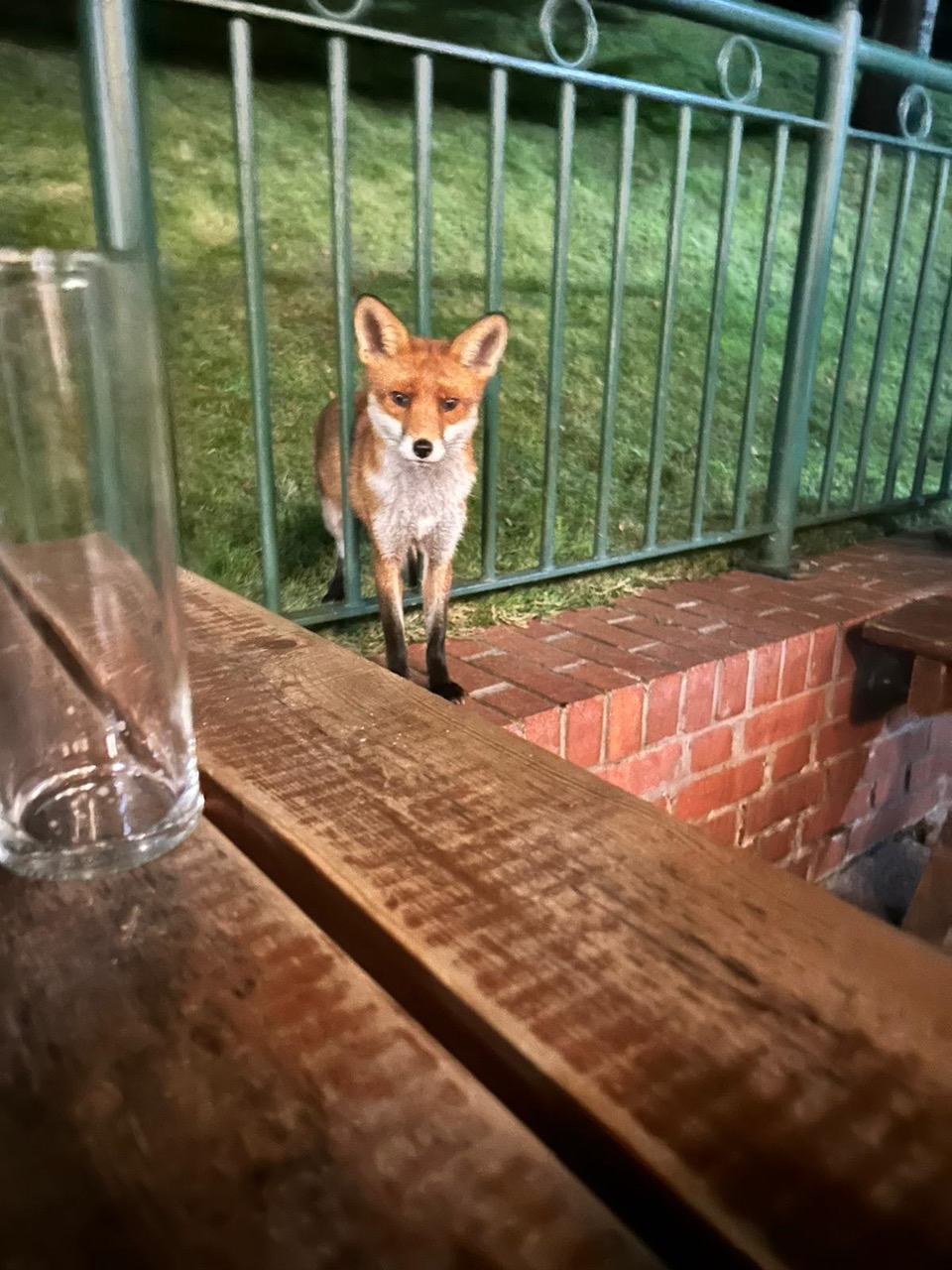 Fwd:			
					</div><!-- .entry-content -->
		
		<footer>
		
		
		
					
					</footer><!-- .entry-meta -->
	</article><!-- #post -->
				
											
				
		
<hr class=