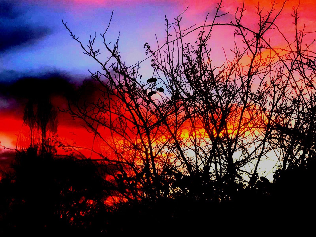 Fwd: Photos			
					</div><!-- .entry-content -->
		
		<footer>
		
		
		
					
					</footer><!-- .entry-meta -->
	</article><!-- #post -->
				
											
				
		
<hr class=