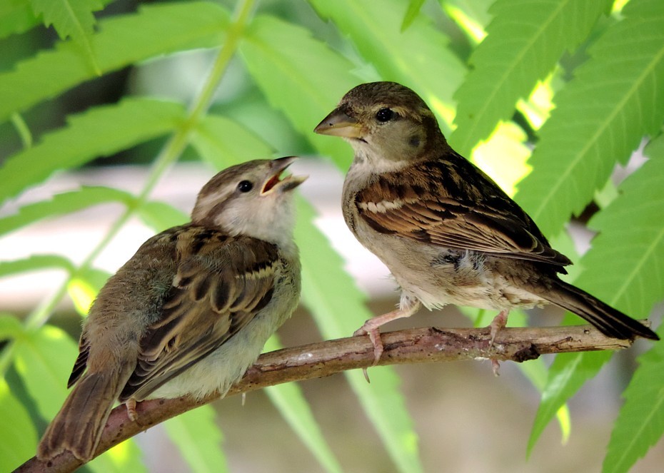 Fwd: Photos from Mr Ken Webster OAP of Sheffield			
					</div><!-- .entry-content -->
		
		<footer>
		
		
		
					
					</footer><!-- .entry-meta -->
	</article><!-- #post -->
				
											
				
		
<hr class=