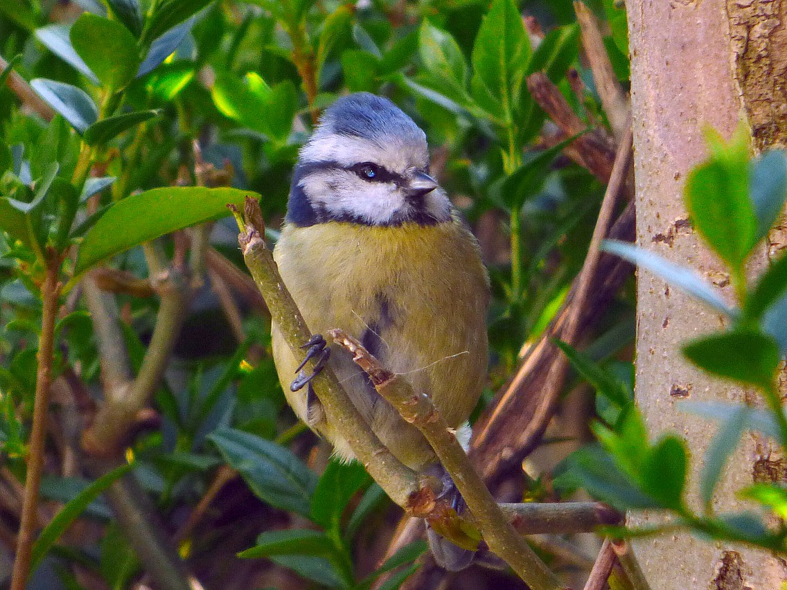 Fwd: Photos from Mr Ken Webster OAP of Sheffield			
					</div><!-- .entry-content -->
		
		<footer>
		
		
		
					
					</footer><!-- .entry-meta -->
	</article><!-- #post -->
				
											
				
		
<hr class=