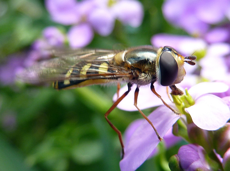 Fwd: Photos from Mr Ken Webster OAP of Sheffield			
					</div><!-- .entry-content -->
		
		<footer>
		
		
		
					
					</footer><!-- .entry-meta -->
	</article><!-- #post -->
				
											
				
		
<hr class=