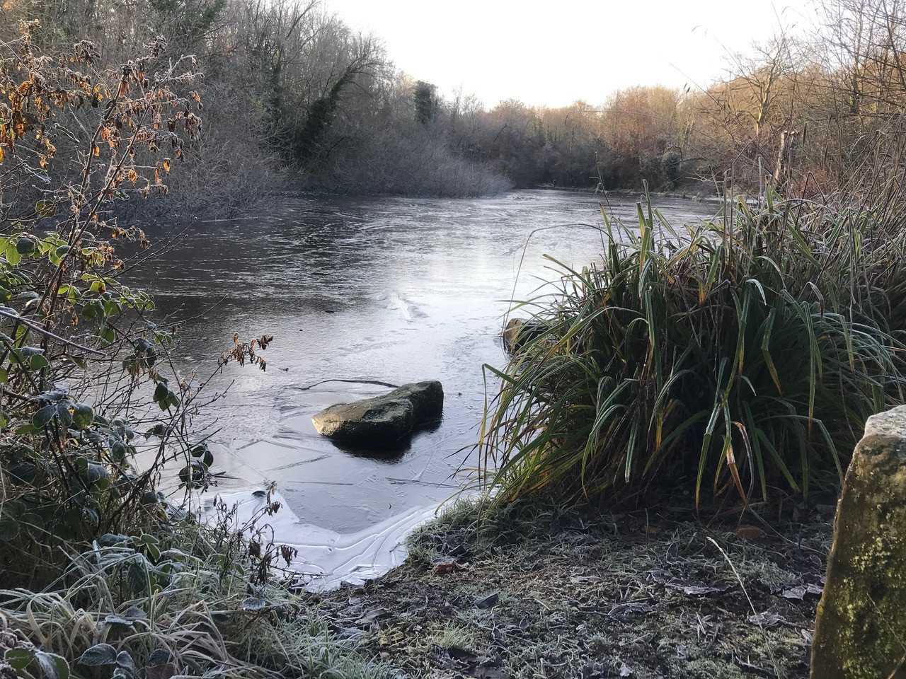 Fwd: Chris – Rivelin Valley Rd			
					</div><!-- .entry-content -->
		
		<footer>
		
		
		
					
					</footer><!-- .entry-meta -->
	</article><!-- #post -->
				
											
				
		
<hr class=