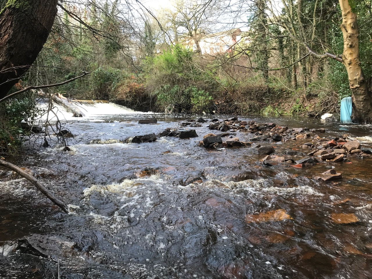 Fwd: Chris – Rivelin			
					</div><!-- .entry-content -->
		
		<footer>
		
		
		
					
					</footer><!-- .entry-meta -->
	</article><!-- #post -->
				
											
				
		
<hr class=