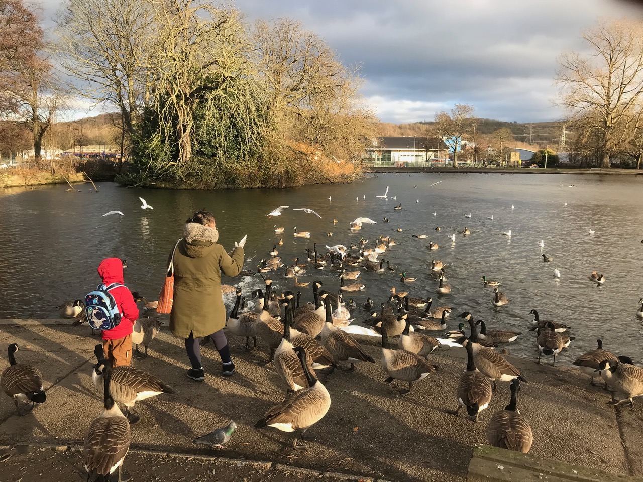 Fwd: Chris – Hillsboro Park			
					</div><!-- .entry-content -->
		
		<footer>
		
		
		
					
					</footer><!-- .entry-meta -->
	</article><!-- #post -->
				
											
				
		
<hr class=