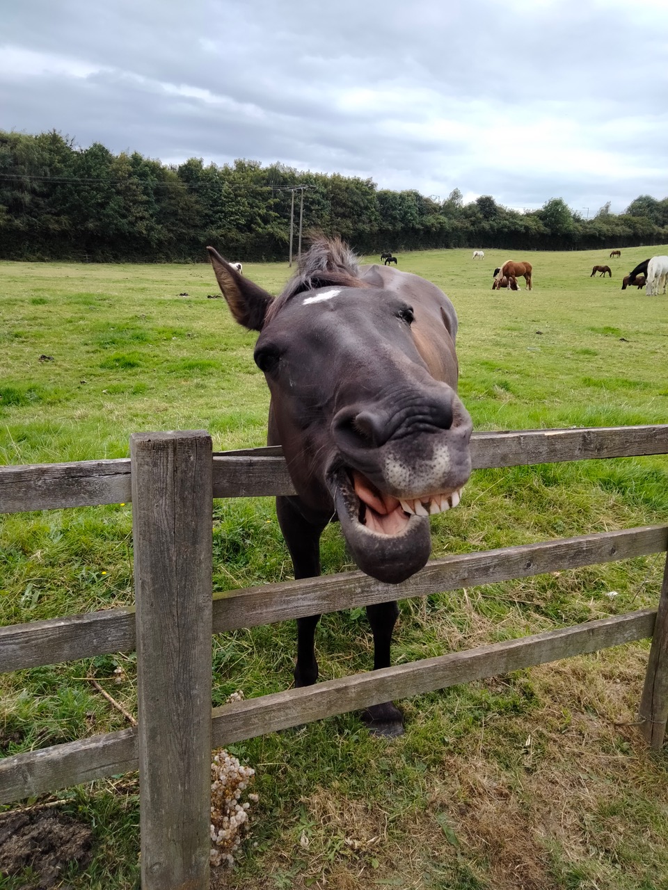 Fwd:			
					</div><!-- .entry-content -->
		
		<footer>
		
		
		
					
					</footer><!-- .entry-meta -->
	</article><!-- #post -->
				
											
				
		
<hr class=