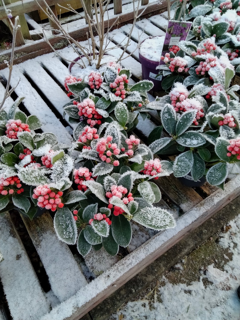 Fwd:			
					</div><!-- .entry-content -->
		
		<footer>
		
		
		
					
					</footer><!-- .entry-meta -->
	</article><!-- #post -->
				
											
				
		
<hr class=