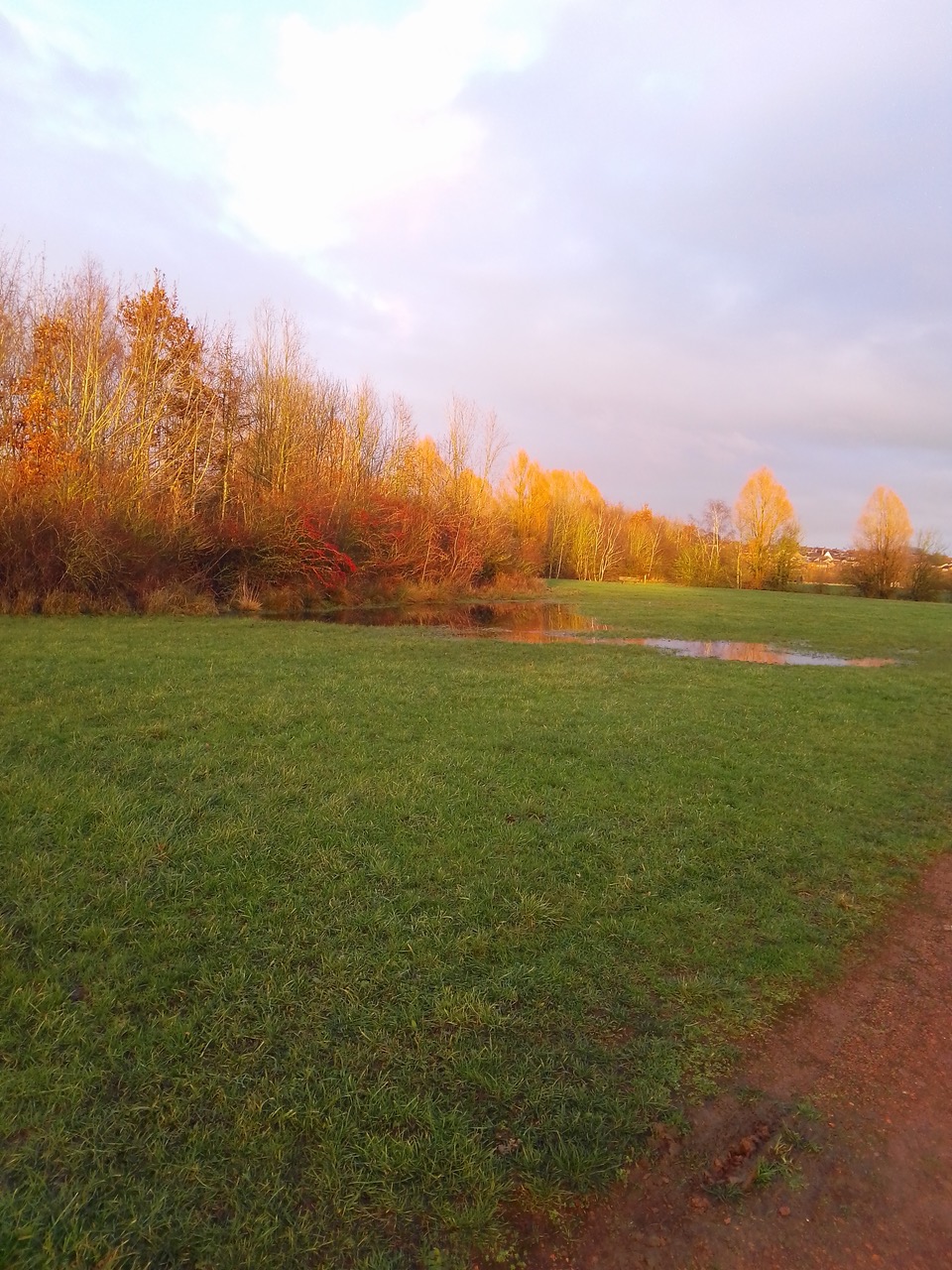 Fwd: Kiveton community park			
					</div><!-- .entry-content -->
		
		<footer>
		
		
		
					
					</footer><!-- .entry-meta -->
	</article><!-- #post -->
				
											
				
		
<hr class=