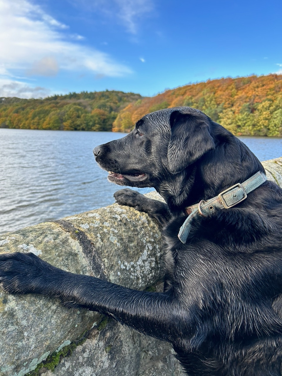 Fwd:			
					</div><!-- .entry-content -->
		
		<footer>
		
		
		
					
					</footer><!-- .entry-meta -->
	</article><!-- #post -->
				
											
				
		
<hr class=