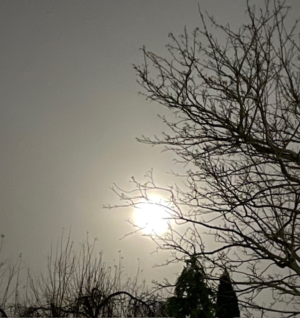 Fwd: Winter Moon by Val Unwin			
					</div><!-- .entry-content -->
		
		<footer>
		
		
		
					
					</footer><!-- .entry-meta -->
	</article><!-- #post -->
				
											
				
		
<hr class=