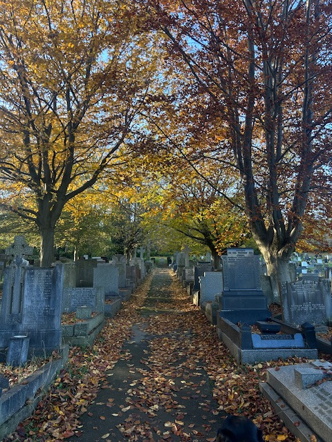 Fwd: Tilly senior , ecclesall church			
					</div><!-- .entry-content -->
		
		<footer>
		
		
		
					
					</footer><!-- .entry-meta -->
	</article><!-- #post -->
				
											
				
		
<hr class=