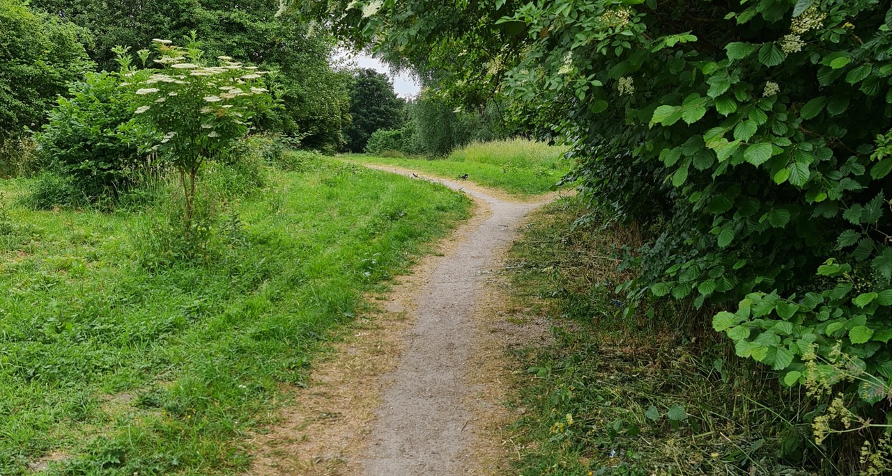 Fwd: Photograph by K Johnson,Pennine trail.			
					</div><!-- .entry-content -->
		
		<footer>
		
		
		
					
					</footer><!-- .entry-meta -->
	</article><!-- #post -->
				
											
				
		
<hr class=