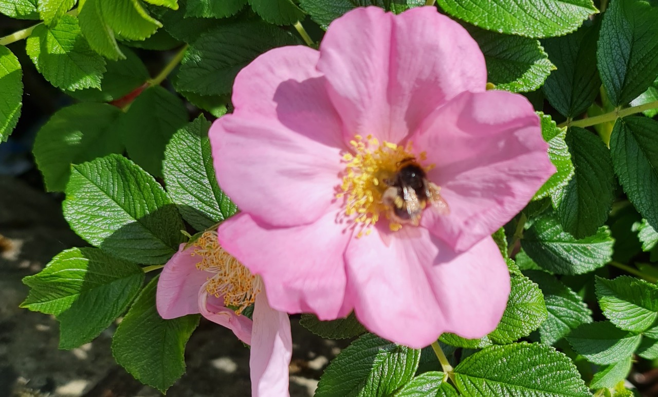 Fwd: Photograph by K Johnson			
					</div><!-- .entry-content -->
		
		<footer>
		
		
		
					
					</footer><!-- .entry-meta -->
	</article><!-- #post -->
				
											
				
		
<hr class=