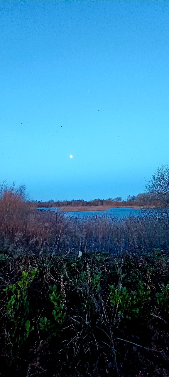 Fwd: By Markius Maximus- Moon over Idle Valley.			
					</div><!-- .entry-content -->
		
		<footer>
		
		
		
					
					</footer><!-- .entry-meta -->
	</article><!-- #post -->
				
											
				
		
<hr class=