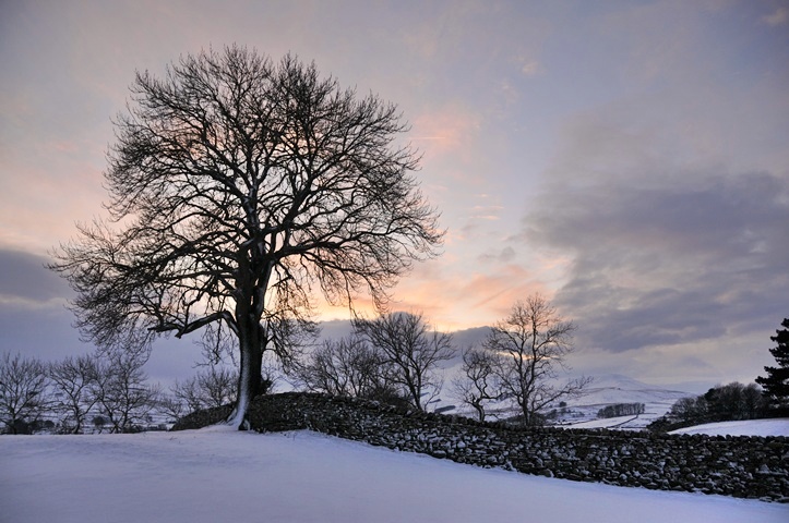 Fwd: Roland Geordie, A snowy sunset			
					</div><!-- .entry-content -->
		
		<footer>
		
		
		
					
					</footer><!-- .entry-meta -->
	</article><!-- #post -->
				
											
				
		
<hr class=