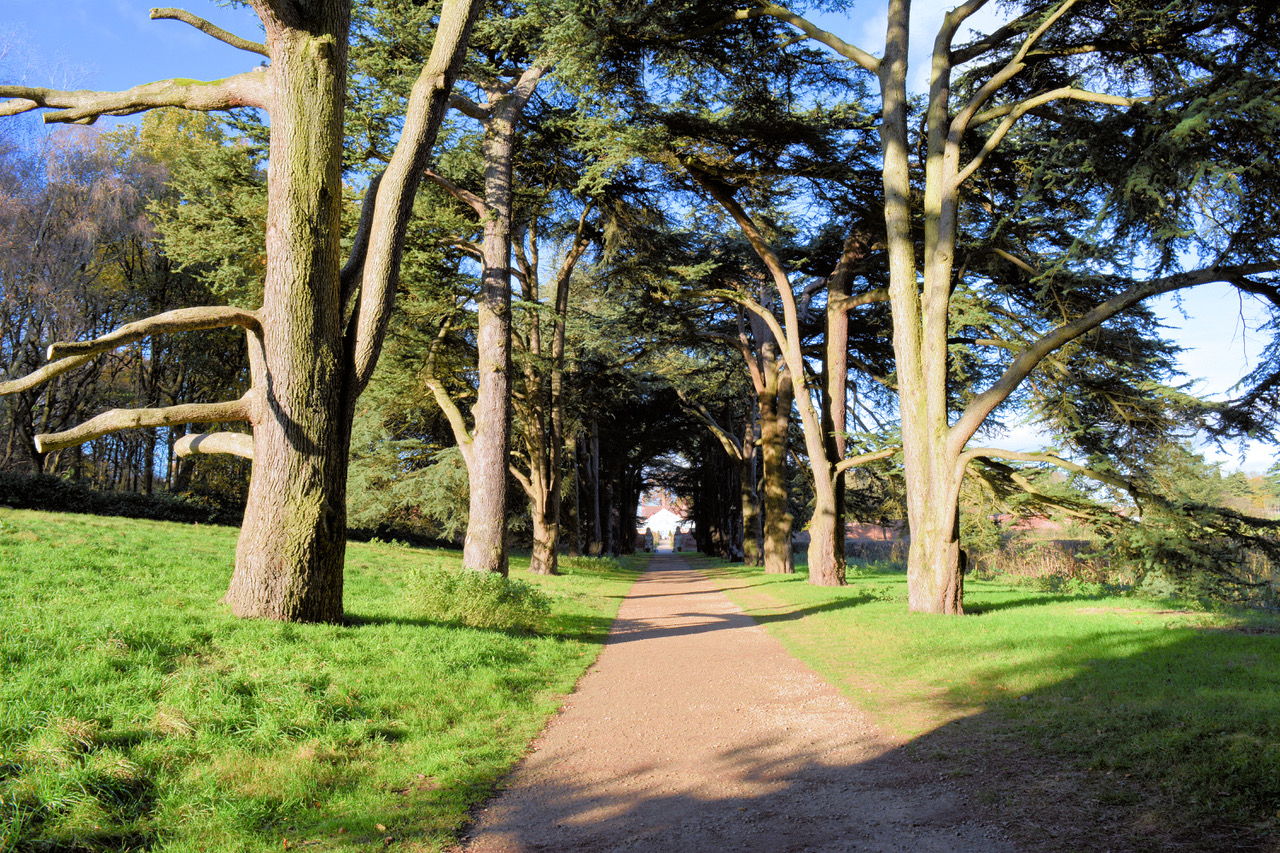 Fwd: Photo			
					</div><!-- .entry-content -->
		
		<footer>
		
		
		
					
					</footer><!-- .entry-meta -->
	</article><!-- #post -->
				
											
				
		
<hr class=