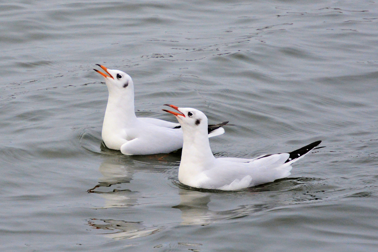 Fwd: Photo			
					</div><!-- .entry-content -->
		
		<footer>
		
		
		
					
					</footer><!-- .entry-meta -->
	</article><!-- #post -->
				
											
				
		
<hr class=