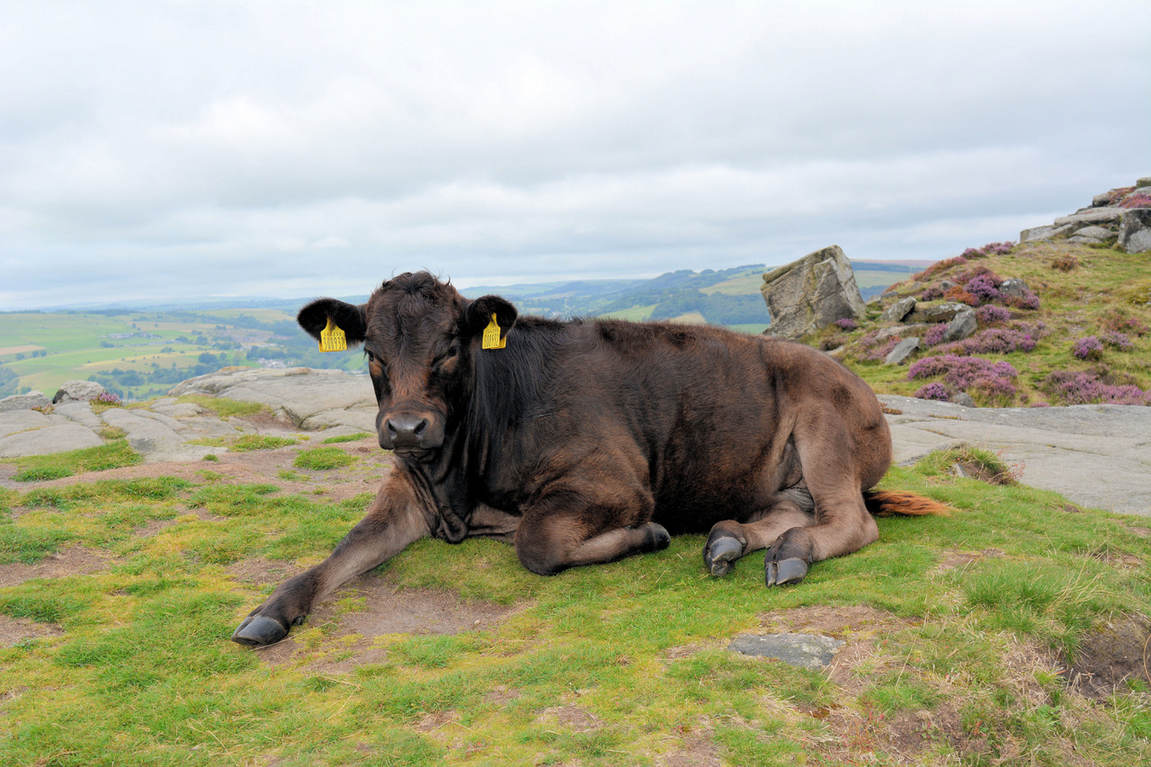 Fwd: Photo			
					</div><!-- .entry-content -->
		
		<footer>
		
		
		
					
					</footer><!-- .entry-meta -->
	</article><!-- #post -->
				
											
				
		
<hr class=