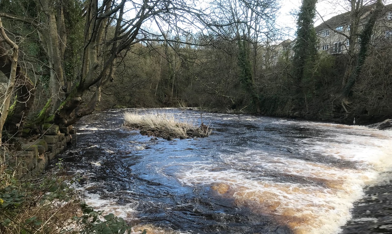Fwd: Chris – Rivelin Valley			
					</div><!-- .entry-content -->
		
		<footer>
		
		
		
					
					</footer><!-- .entry-meta -->
	</article><!-- #post -->
				
											
				
		
<hr class=