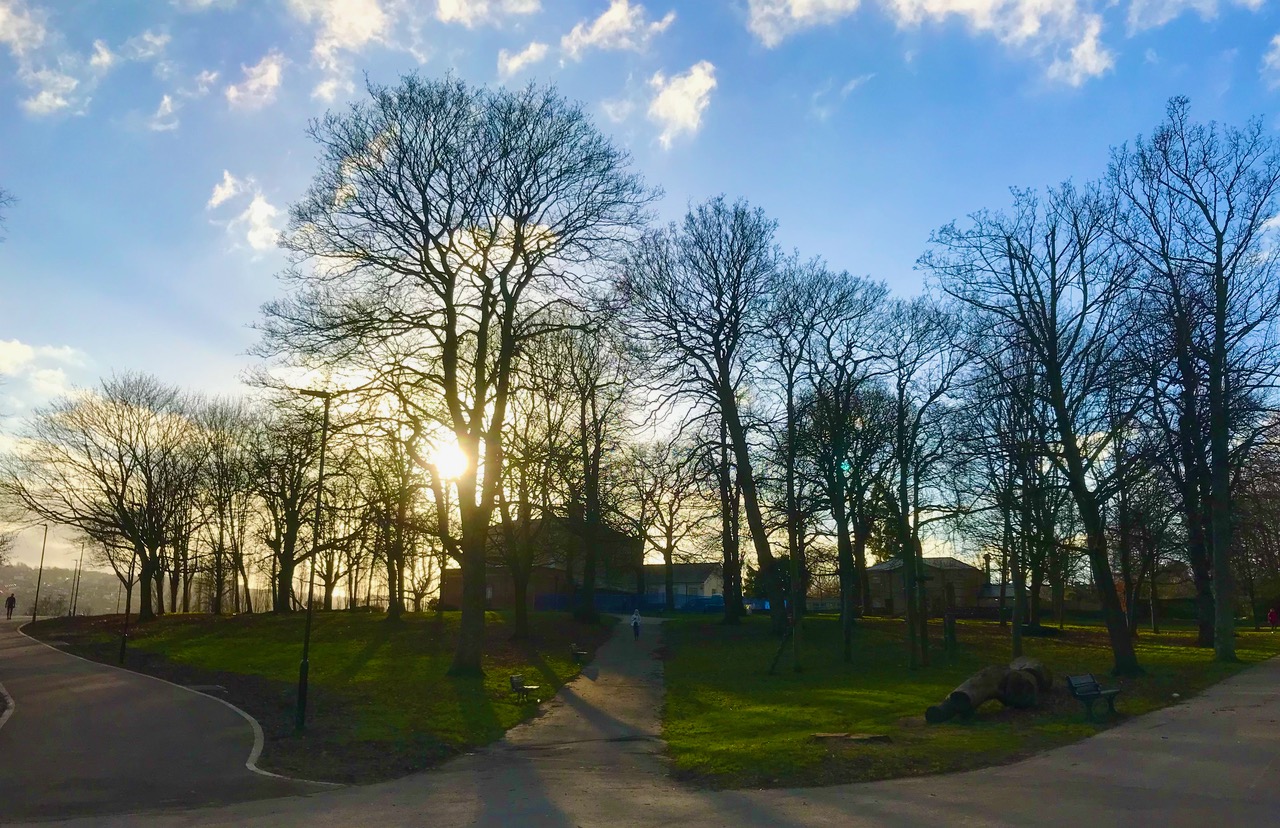 Fwd: Chris – Hillsboro Park			
					</div><!-- .entry-content -->
		
		<footer>
		
		
		
					
					</footer><!-- .entry-meta -->
	</article><!-- #post -->
				
											
				
		
<hr class=