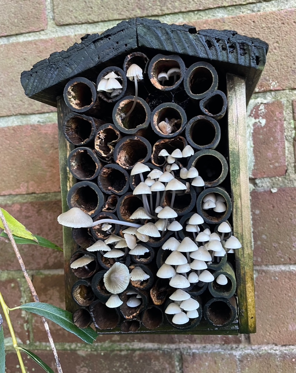 Fwd: Squatters by Val Unwin			
					</div><!-- .entry-content -->
		
		<footer>
		
		
		
					
					</footer><!-- .entry-meta -->
	</article><!-- #post -->
				
											
				
		
<hr class=