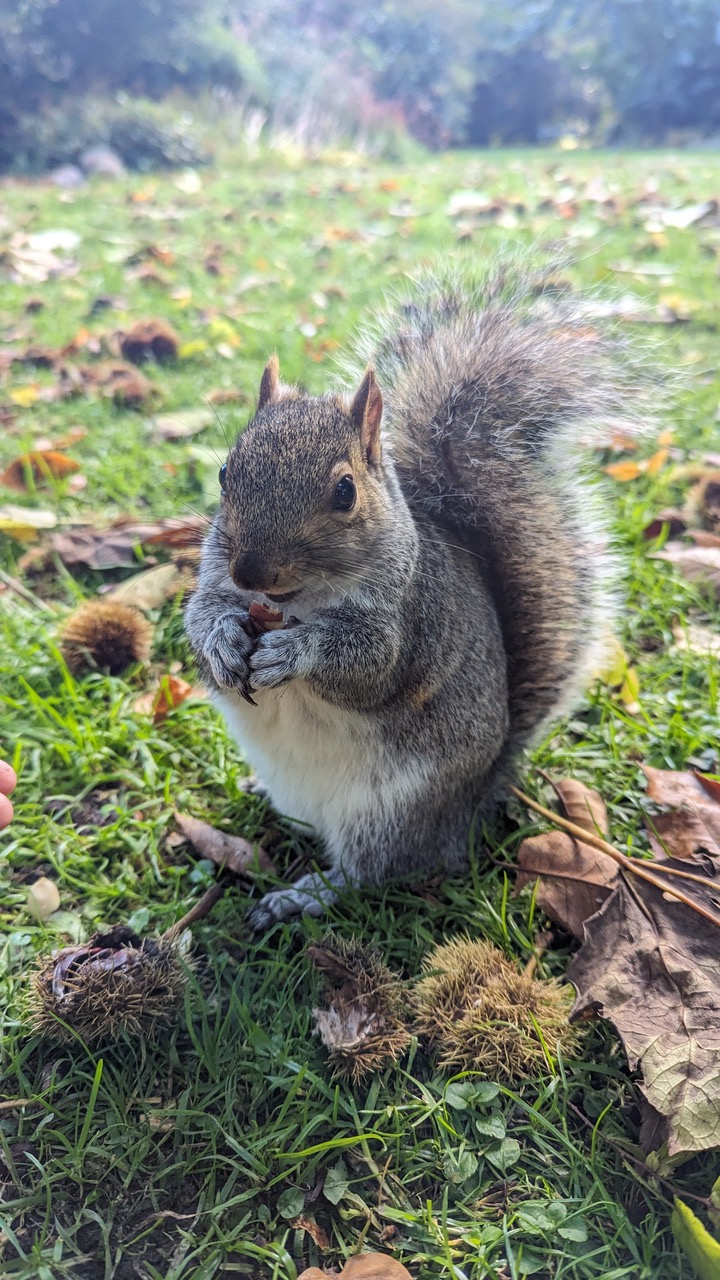 Fwd: Meghan Senior, botanical gardens			
					</div><!-- .entry-content -->
		
		<footer>
		
		
		
					
					</footer><!-- .entry-meta -->
	</article><!-- #post -->
				
											
				
		
<hr class=