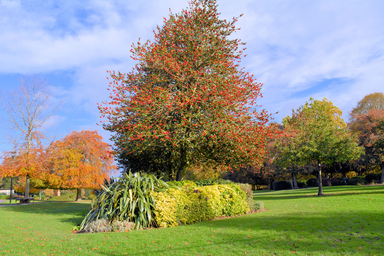 Fwd: Photo			
					</div><!-- .entry-content -->
		
		<footer>
		
		
		
					
					</footer><!-- .entry-meta -->
	</article><!-- #post -->
				
											
				
		
<hr class=