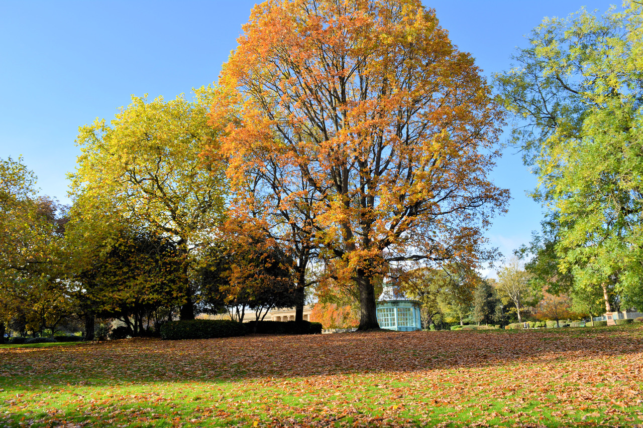 Fwd: Photo			
					</div><!-- .entry-content -->
		
		<footer>
		
		
		
					
					</footer><!-- .entry-meta -->
	</article><!-- #post -->
				
											
				
		
<hr class=