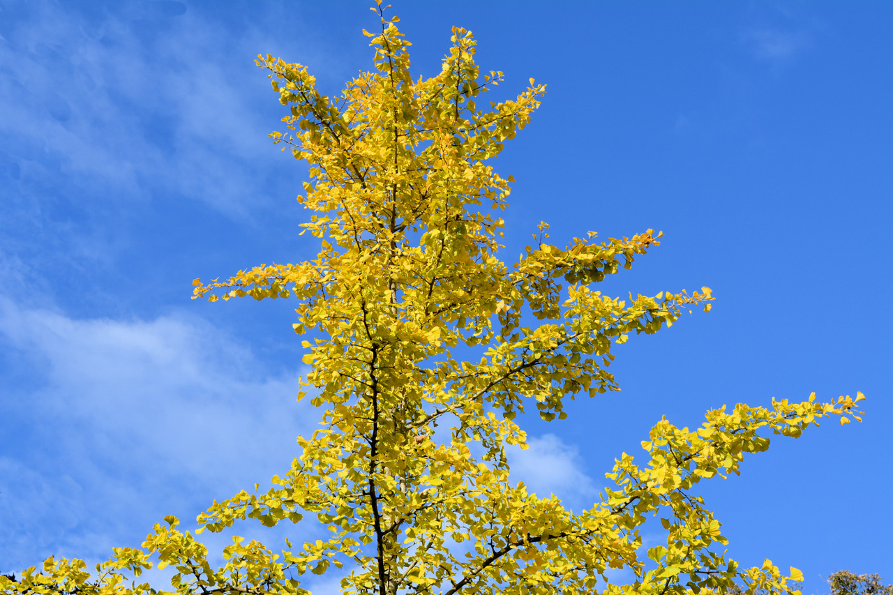 Fwd: Photo			
					</div><!-- .entry-content -->
		
		<footer>
		
		
		
					
					</footer><!-- .entry-meta -->
	</article><!-- #post -->
				
											
				
		
<hr class=