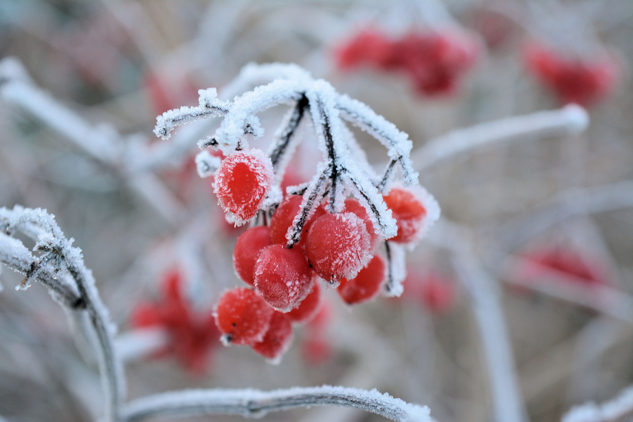 Fwd: Photo			
					</div><!-- .entry-content -->
		
		<footer>
		
		
		
					
					</footer><!-- .entry-meta -->
	</article><!-- #post -->
				
											
				
		
<hr class=