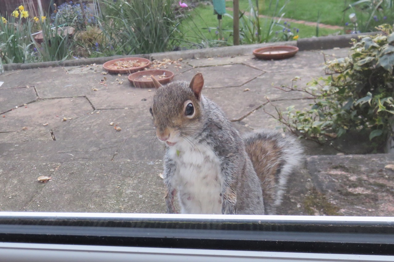 Fwd: Roland Geordie, Can I have a nut please?			
					</div><!-- .entry-content -->
		
		<footer>
		
		
		
					
					</footer><!-- .entry-meta -->
	</article><!-- #post -->
				
											
				
		
<hr class=