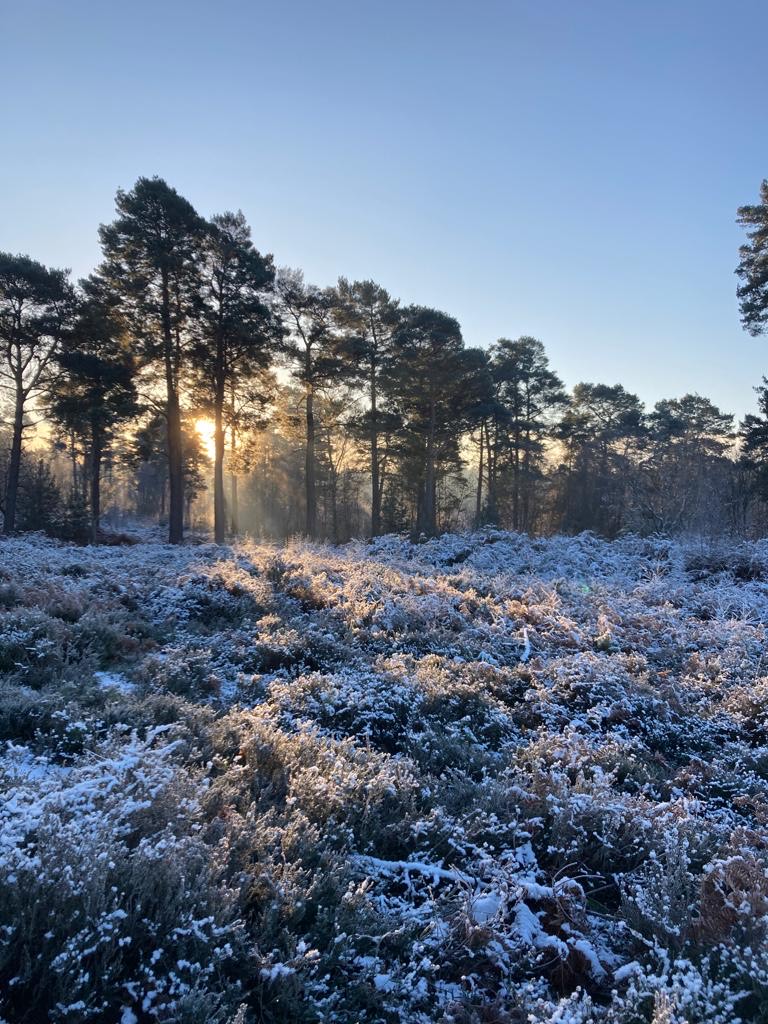 Fwd: Hello some photos for your considerstion			
					</div><!-- .entry-content -->
		
		<footer>
		
		
		
					
					</footer><!-- .entry-meta -->
	</article><!-- #post -->
				
											
				
		
<hr class=