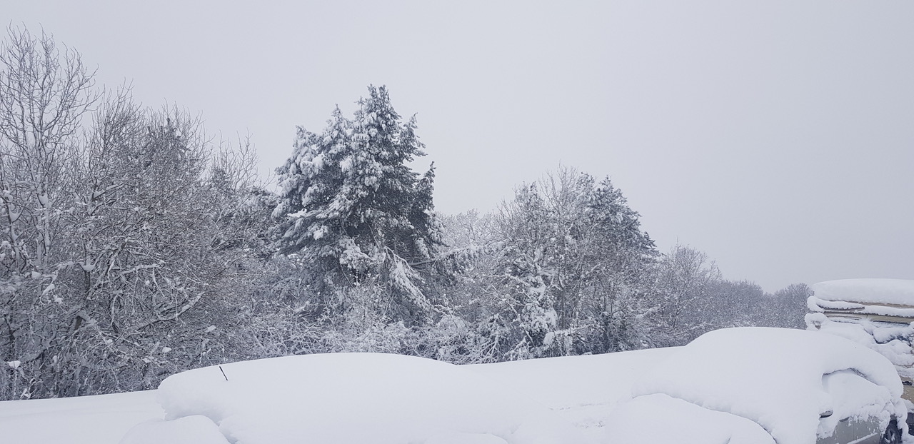 Fwd:			
					</div><!-- .entry-content -->
		
		<footer>
		
		
		
					
					</footer><!-- .entry-meta -->
	</article><!-- #post -->
				
											
				
		
<hr class=