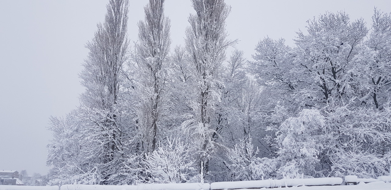 Fwd:			
					</div><!-- .entry-content -->
		
		<footer>
		
		
		
					
					</footer><!-- .entry-meta -->
	</article><!-- #post -->
				
											
				
		
<hr class=